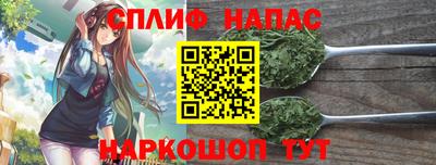 сатива Брянск