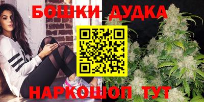 сатива Брянск
