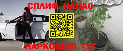 мяу мяу мука Братск