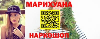 сатива Брянск