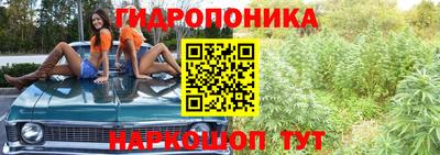 сатива Брянск